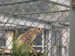 -合肥野生动物园