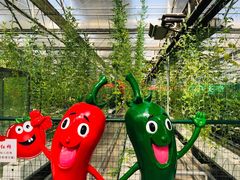 -兰陵国家农业公园