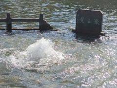 -百脉泉景区