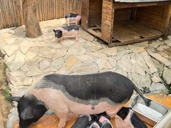 -HERRE·FARM 赫尔露营农场·团建聚会包场