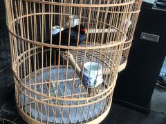 -到家尝北京菜(西坝河店)