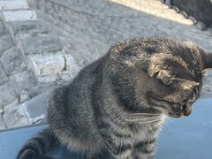 -前叁門