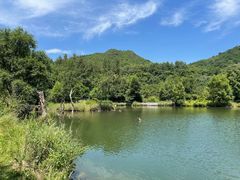 -玉渡山自然风景区