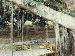 -深圳野生动物园
