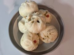 -田螺阿姨自营月嫂·育儿嫂(高新店)