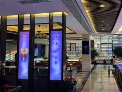 -中国黄金(北京旗舰店)