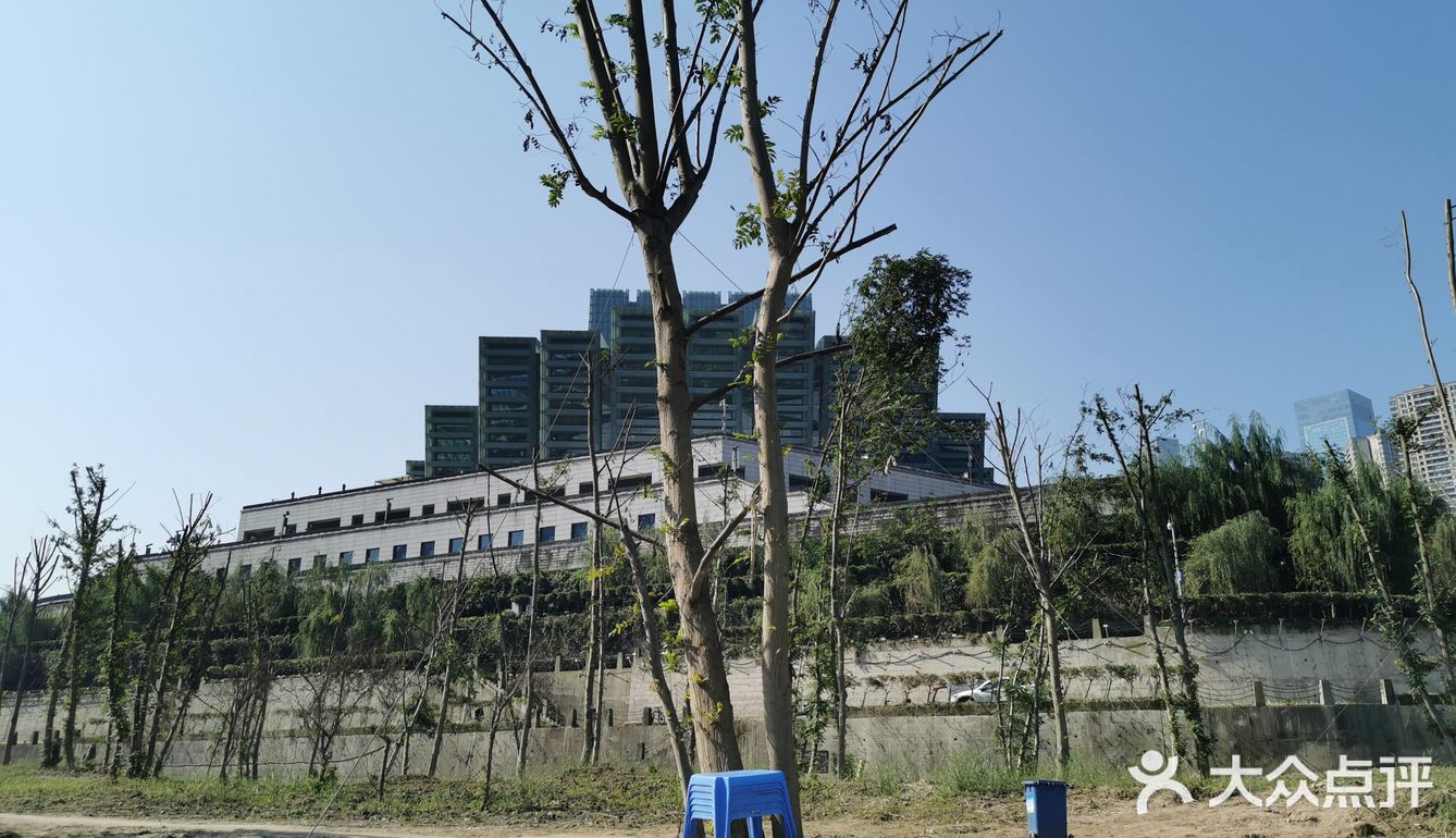 重庆这几天 冬日的暖阳