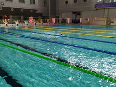 -陕西省游泳跳水馆