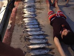 海猎号深海拖钓-海猎号深海拖钓