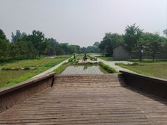 -北坞公园