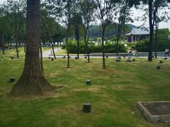 -顺峰山公园