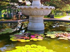 -国家植物园南园