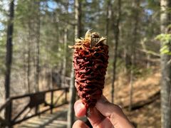 -长白山万达锦华套房酒店