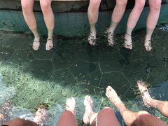-苏州湾王焰温泉度假酒店