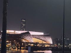 -金沙湖公园