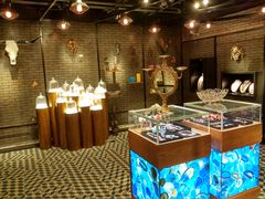 店内环境-Behring World of Animals(上海自然博物馆店)