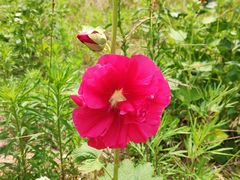 -昆嵛山石门里景区