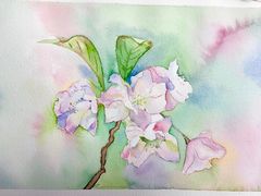 -八哥美术·成人美术画室(总校区)
