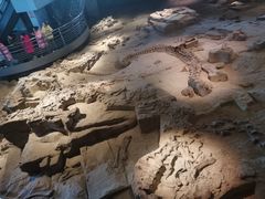 -自贡恐龙博物馆