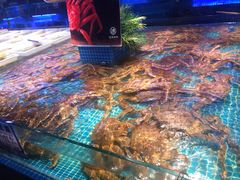 -驻海渔市(置信店)