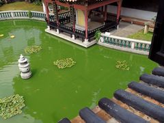 -碧江金楼