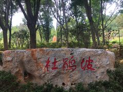 -东莞植物园