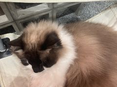 -seeu coffee(江滩店)