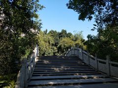 -小洲村
