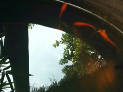 -驿舍·民國老营房院子私房菜(科学会堂店)