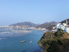 -枸杞岛