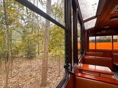 -合肥滨湖国家森林公园