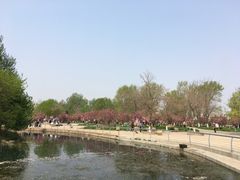 -长白岛森林公园