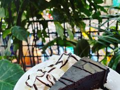 -萨尔瓦多Salvador's