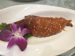 -莆鑫海鲜城(浏河店)