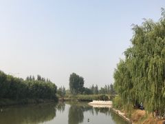 -白洋淀景区