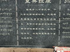 -罗布林卡