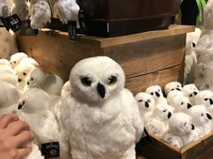 -九又四分之三站台