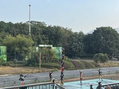 -深圳野生动物园