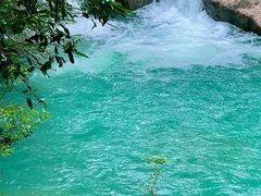 -广州白江湖森林公园