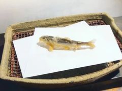 -みかわ是山居
