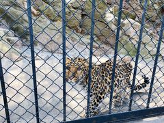 -大连森林动物园