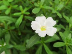 -晶宝温泉农庄