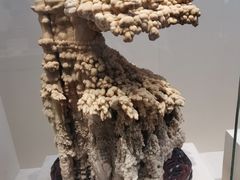 -安徽省地质博物馆