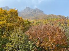 -白草畔自然风景区