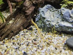 -上海海洋水族馆