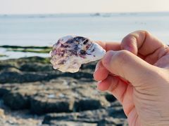 -大连金石滩国家旅游度假区
