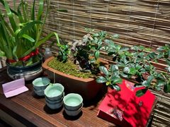 -平吉花卉市场