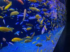 -成都浩海立方海洋公园