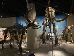 -国家自然博物馆