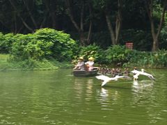 -广州长隆飞鸟乐园